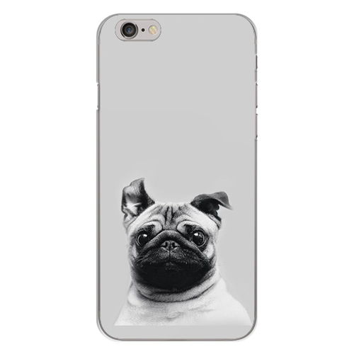 Imagem de Capa para Celular - Pug